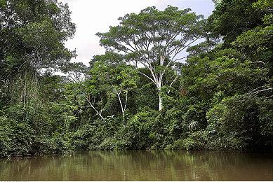 好评国产肉鸽续作《霓虹深渊2》首次公开Playtest正式开启！